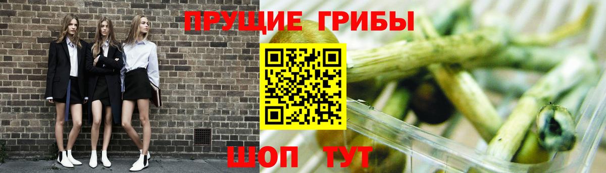 Псилоцибиновые грибы прущие грибы Коряжма